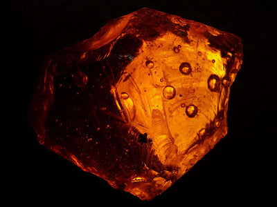 Amber Jewelry: Information and Price Guide